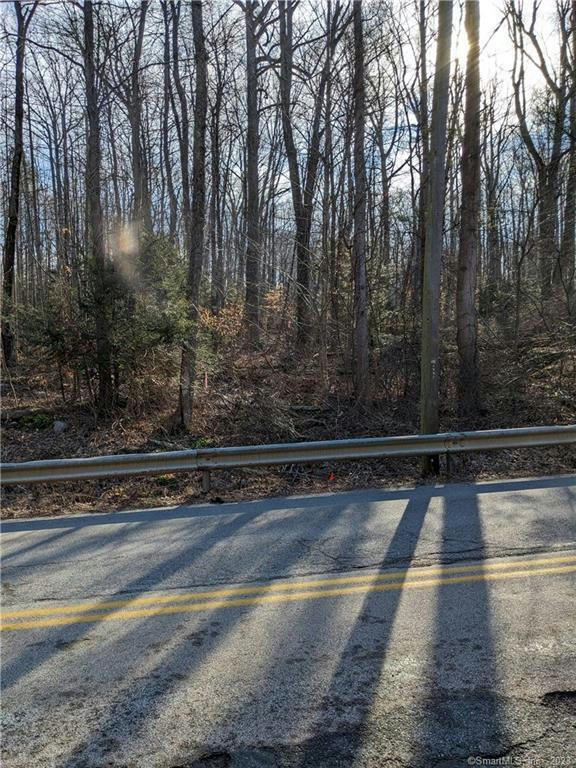 00 EAST HADDAM COLCHESTER TURNPIKE, EAST HADDAM, CT 06423, photo 1 of 2