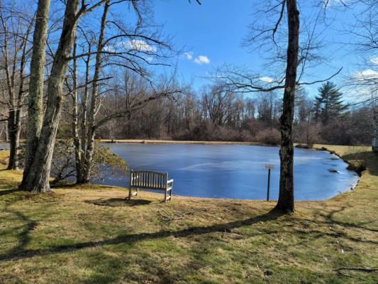 50 LITCHFIELD PONDS DR # 50, LITCHFIELD, CT 06759 - Image 1