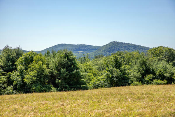 UNDER MOUNTAIN ROAD, SALISBURY, CT 06068 - Image 1