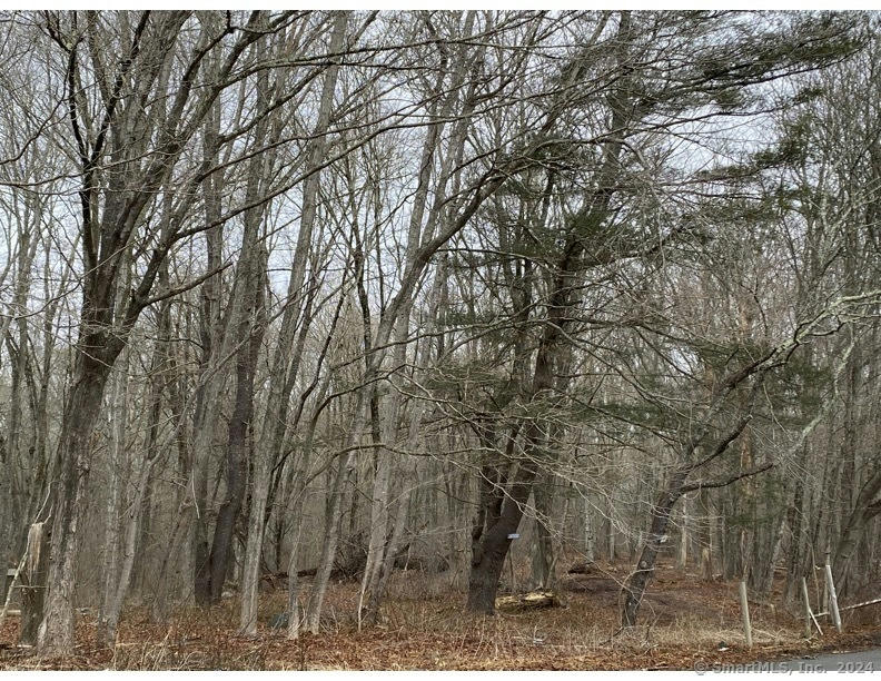 770 PEQUOT TRL LOT 2, STONINGTON, CT 06378, photo 1