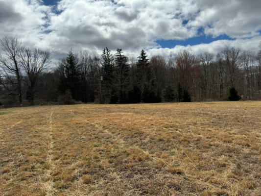 LOT 29-1 BRAULT HILL ROAD, HADDAM, CT 06438, photo 3 of 5