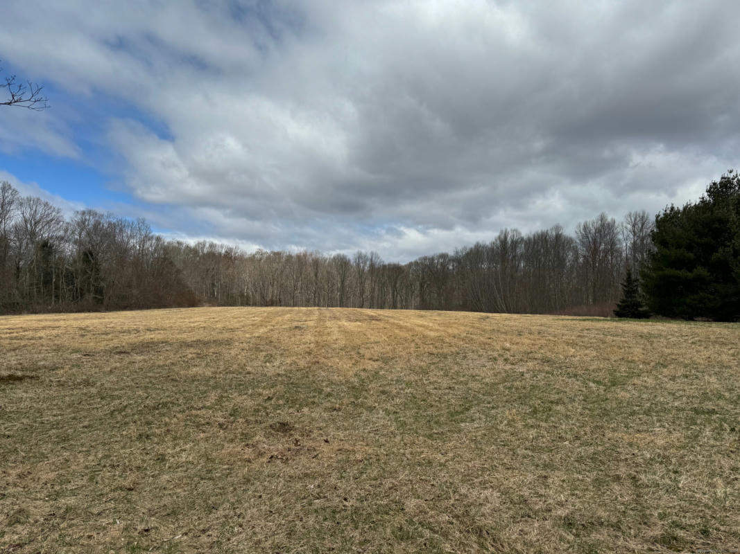 LOT 29-1 BRAULT HILL ROAD, HADDAM, CT 06438, photo 1 of 5