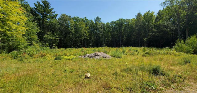 105 LAKE WOODS LN # LOT19A, EASTFORD, CT 06278, photo 3 of 9